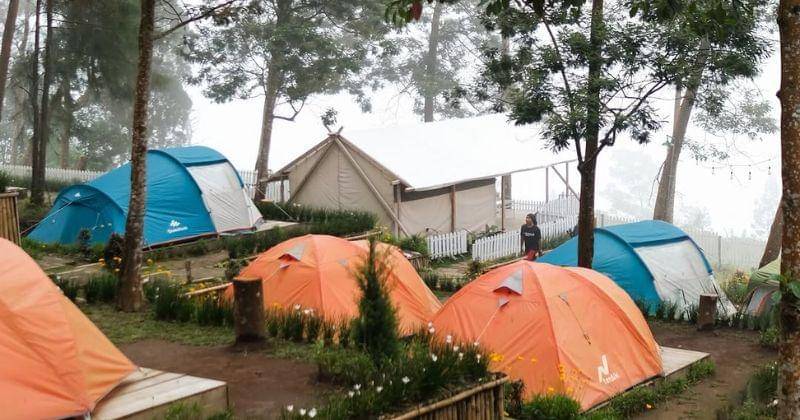 Instagram.com/awanputih_merbabu